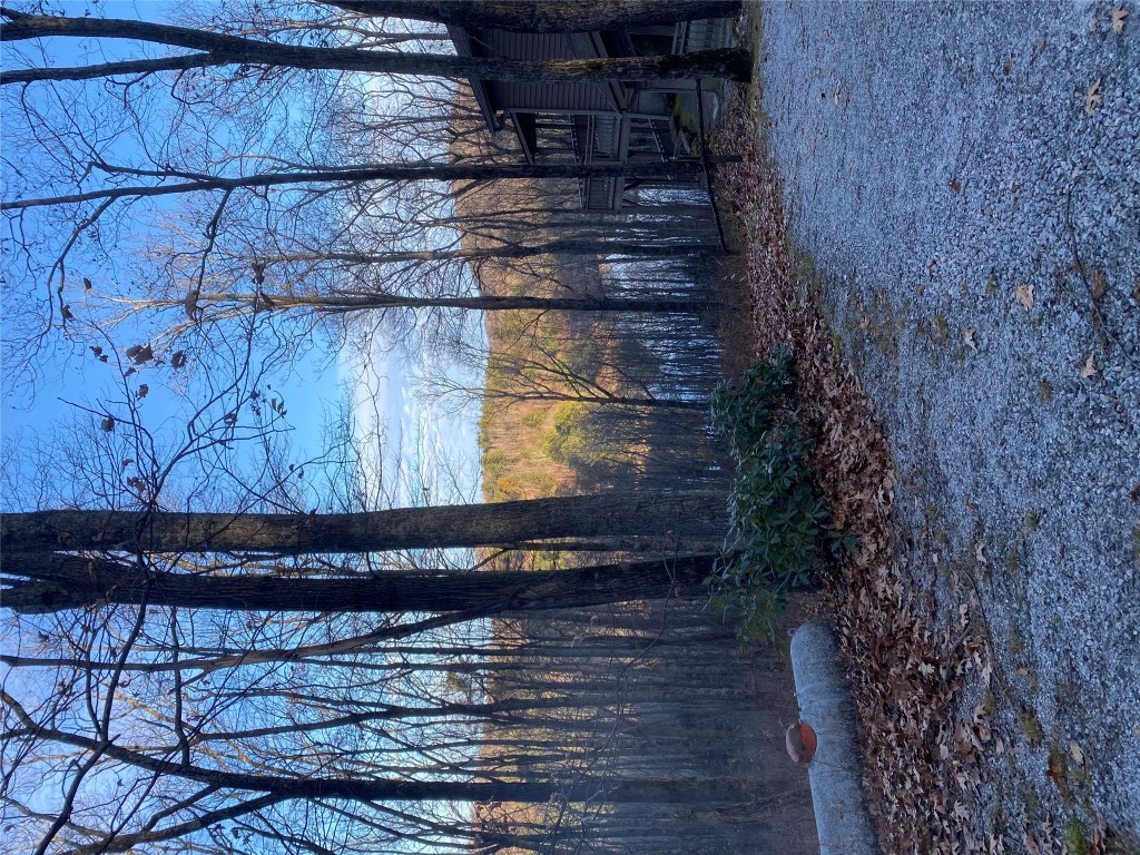 TBD Strawberry Branch