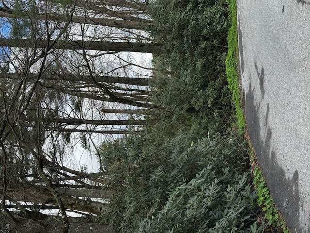 0 Wilson Road