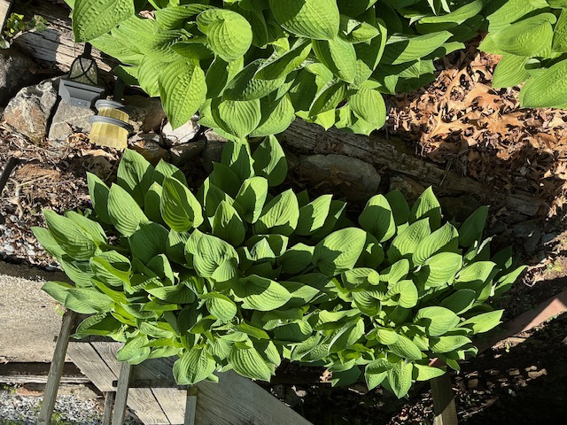 311 Wingina Place Place