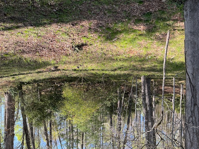 311 Wingina Place Place