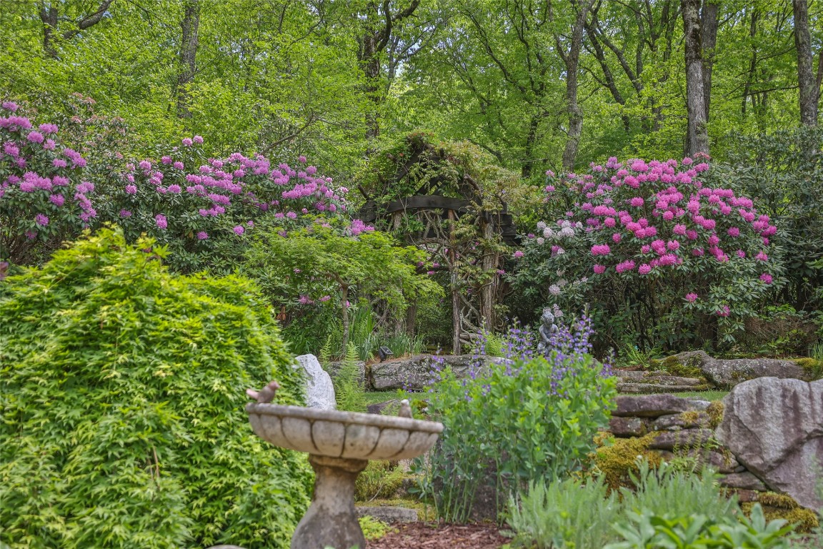 131 Big Creek Lane