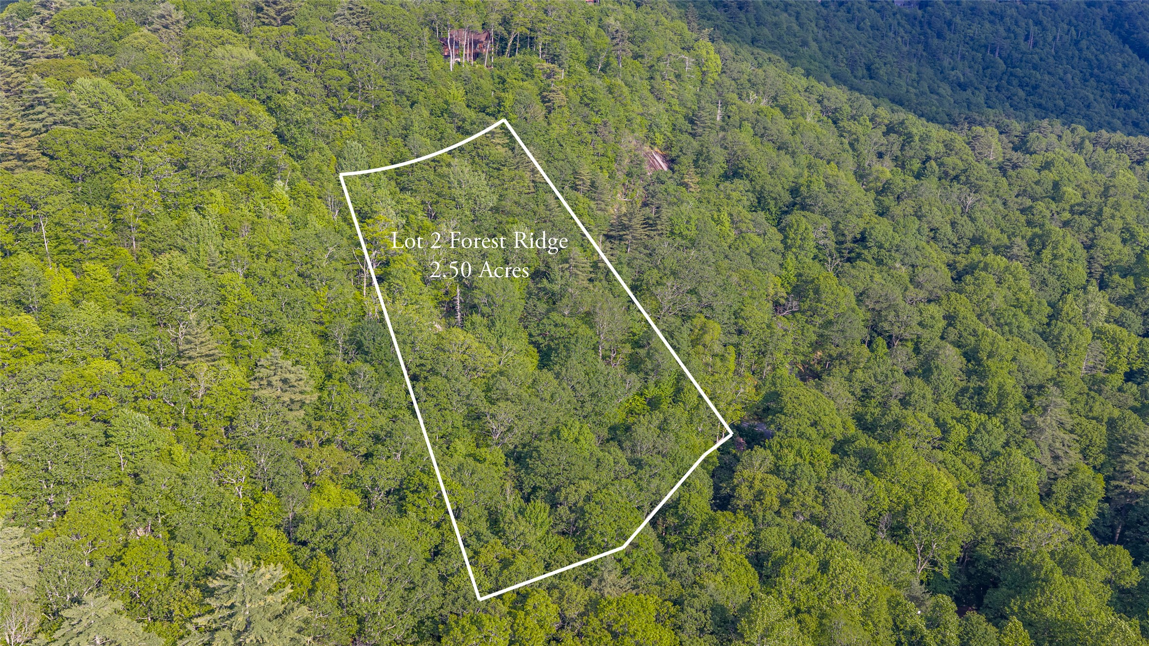 LT Forest Ridge