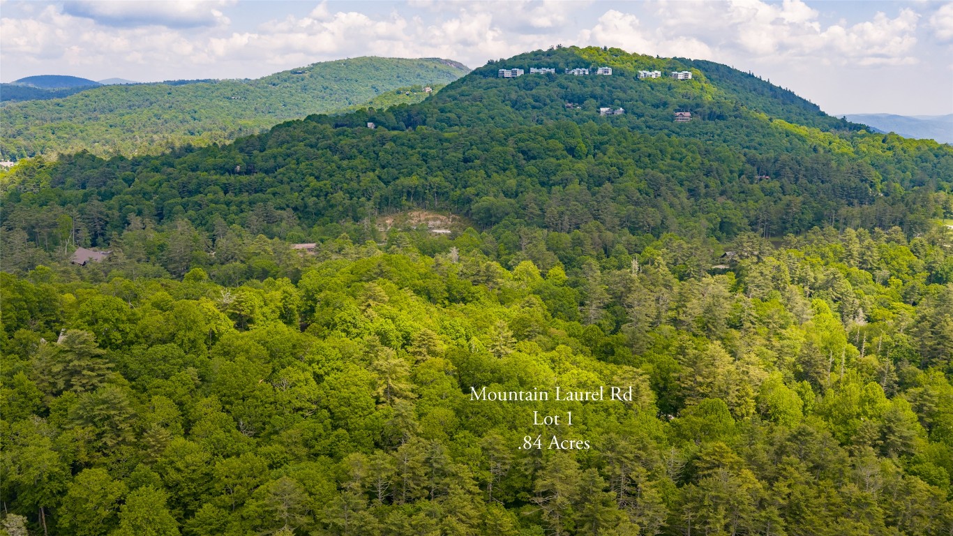 Lot 1 Mountain Laurel Drive