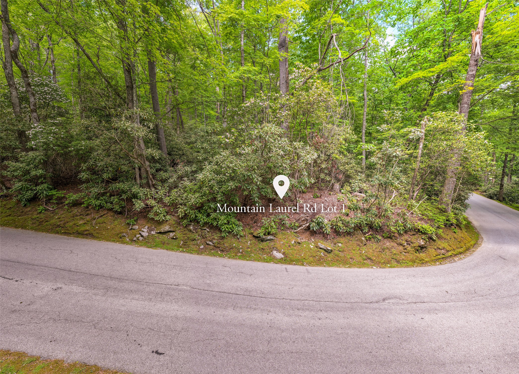 Lot 1 Mountain Laurel Drive