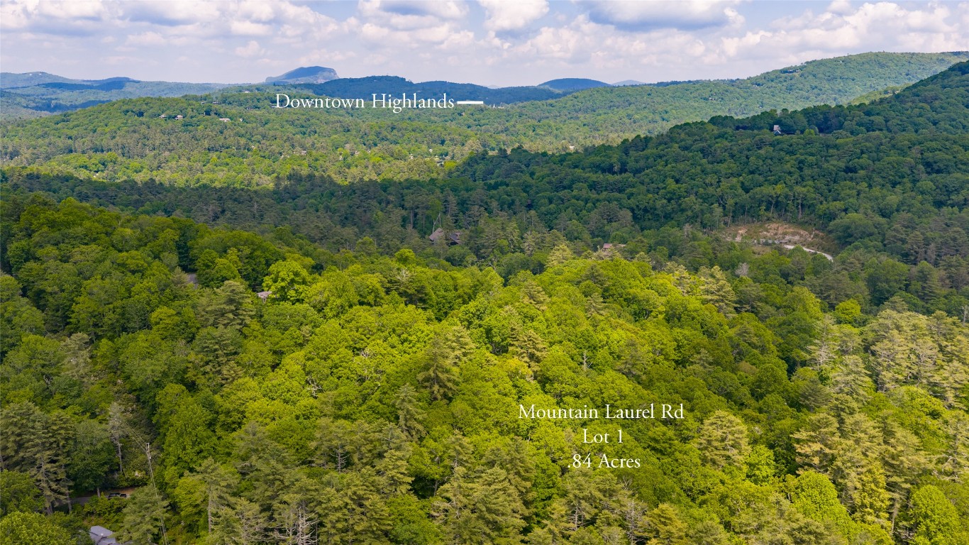 Lot 1 Mountain Laurel Drive
