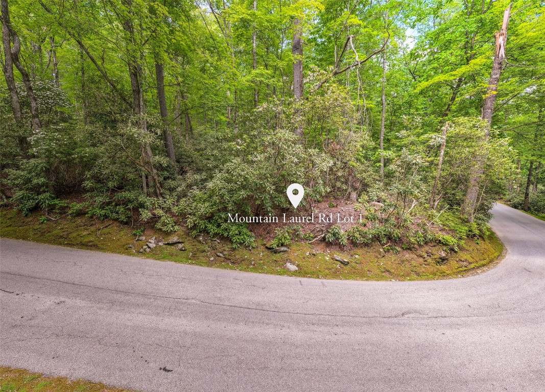 Lot 1 Mountain Laurel Drive
