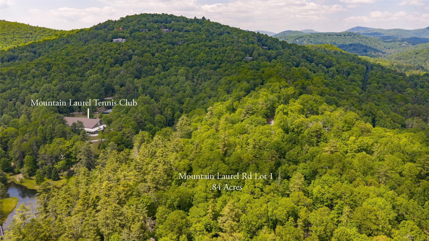 Lot 1 Mountain Laurel Drive