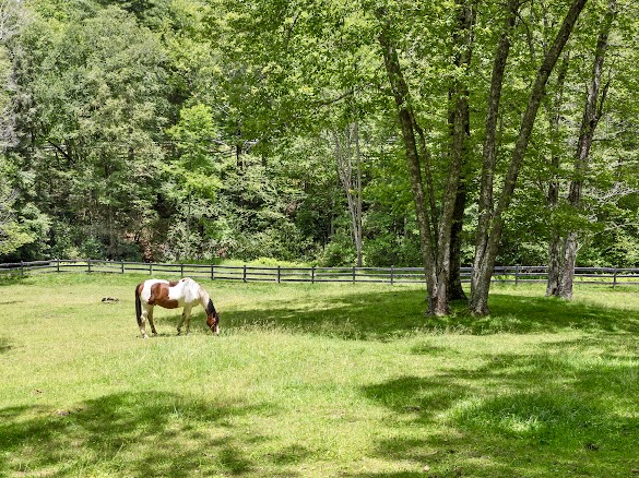 11 Feldspar Lane
