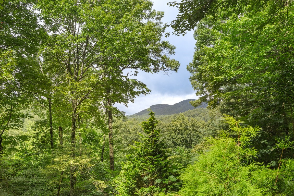 1405 Clear Creek Road