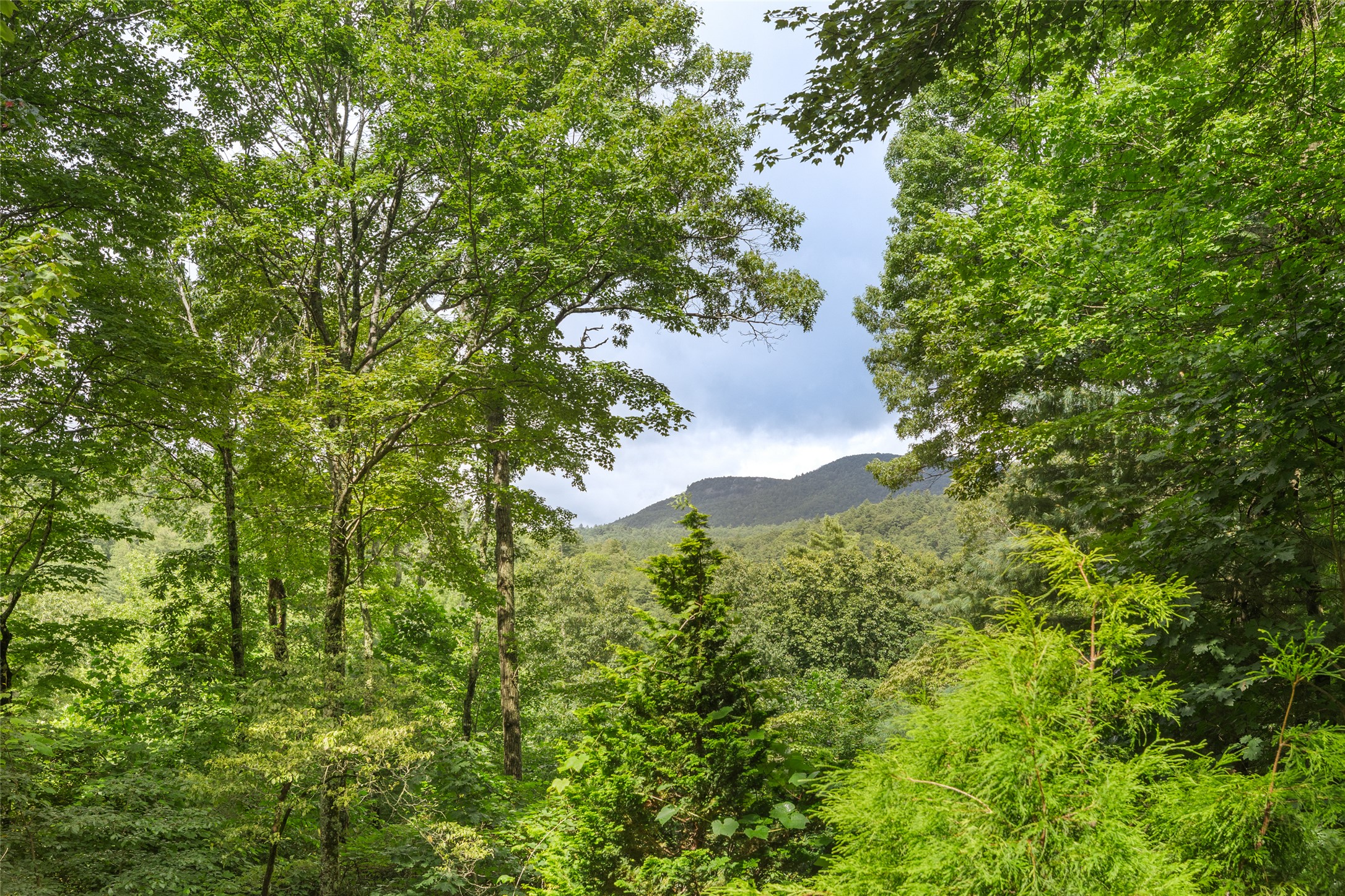 1405 Clear Creek Road