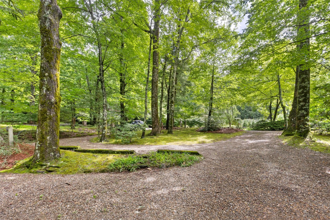 1405 Clear Creek Road