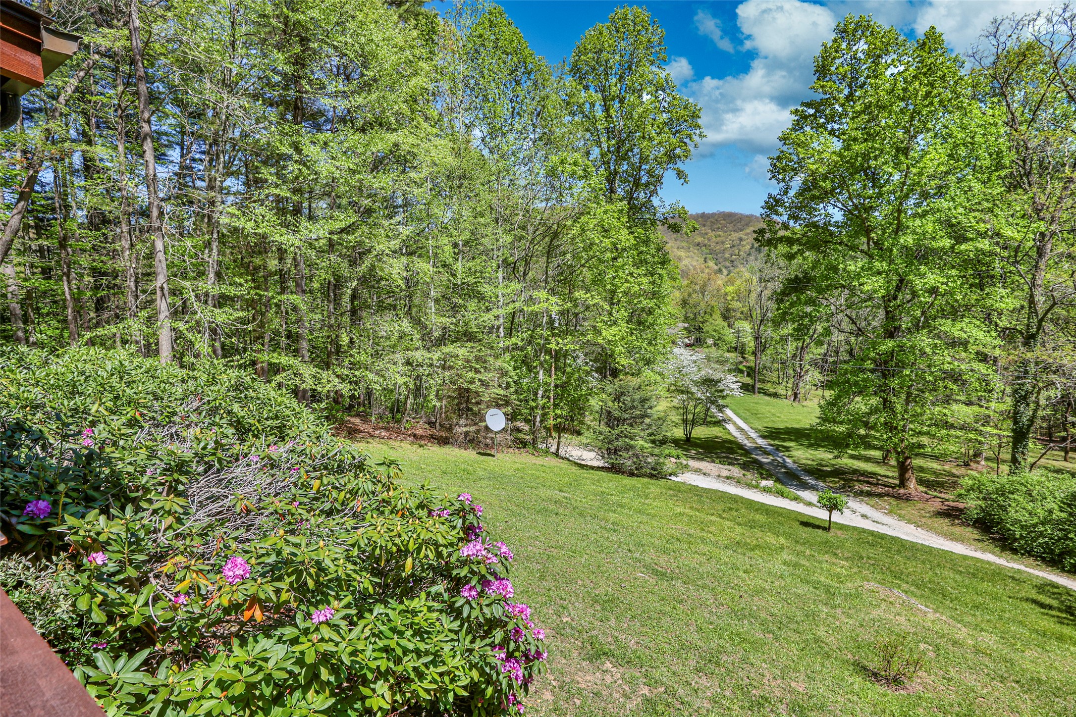 187 Papaw Lane