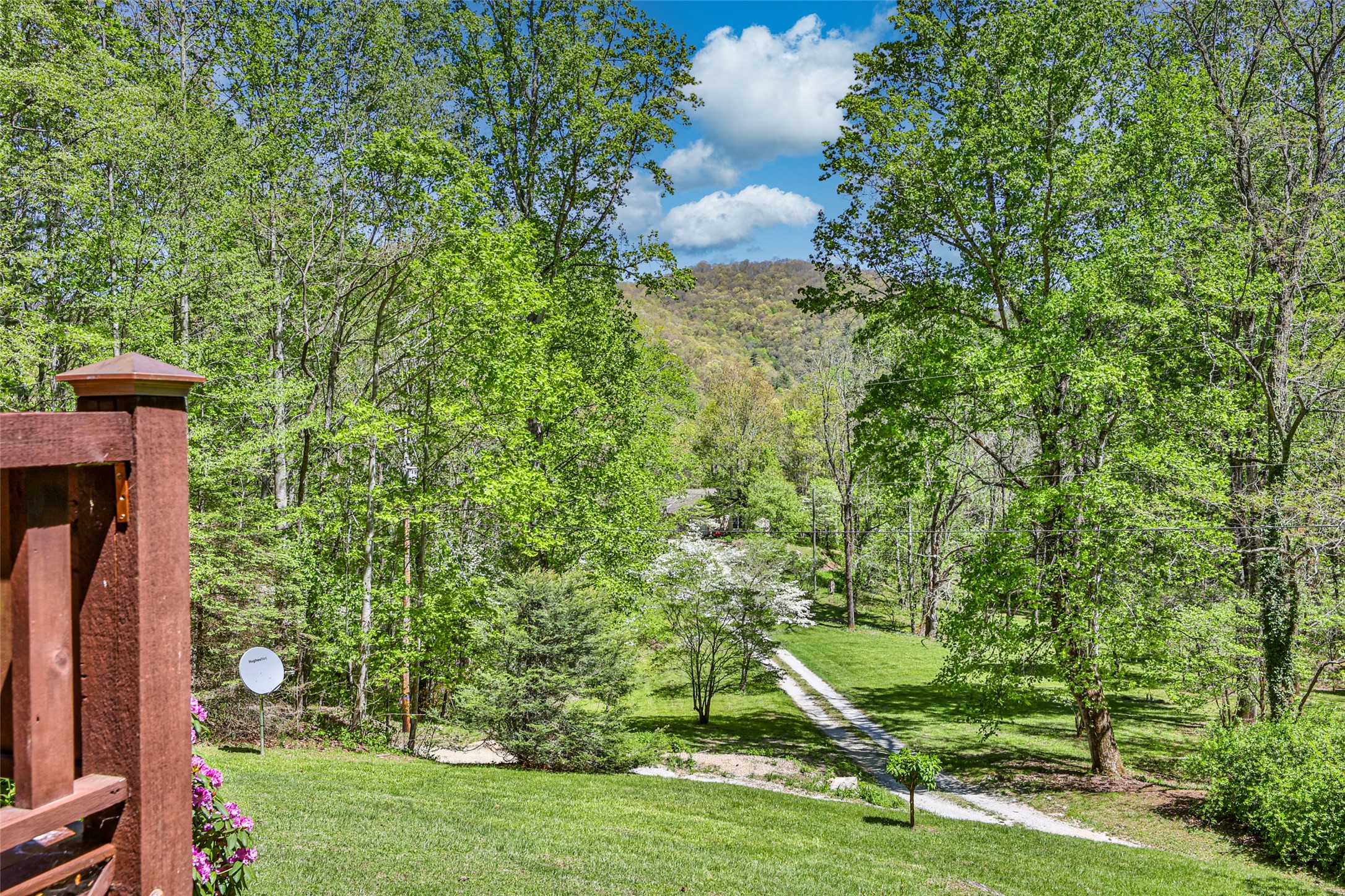 187 Papaw Lane