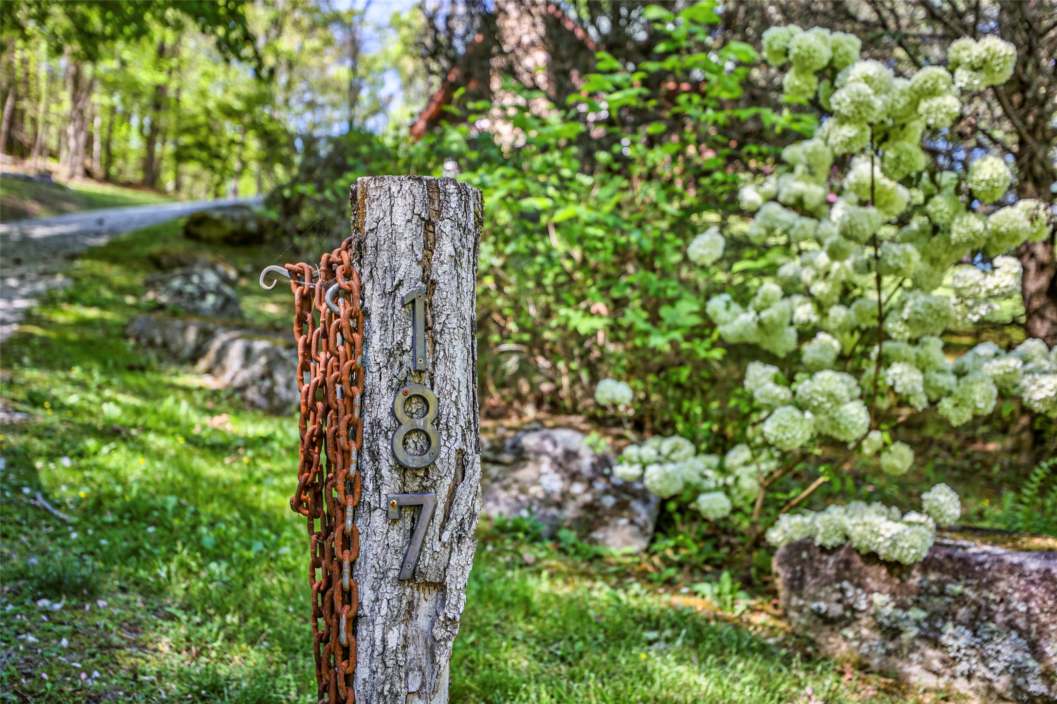 187 Papaw Lane