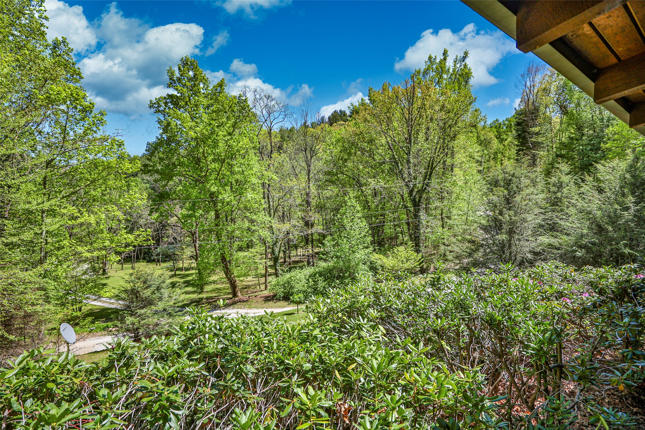 187 Papaw Lane