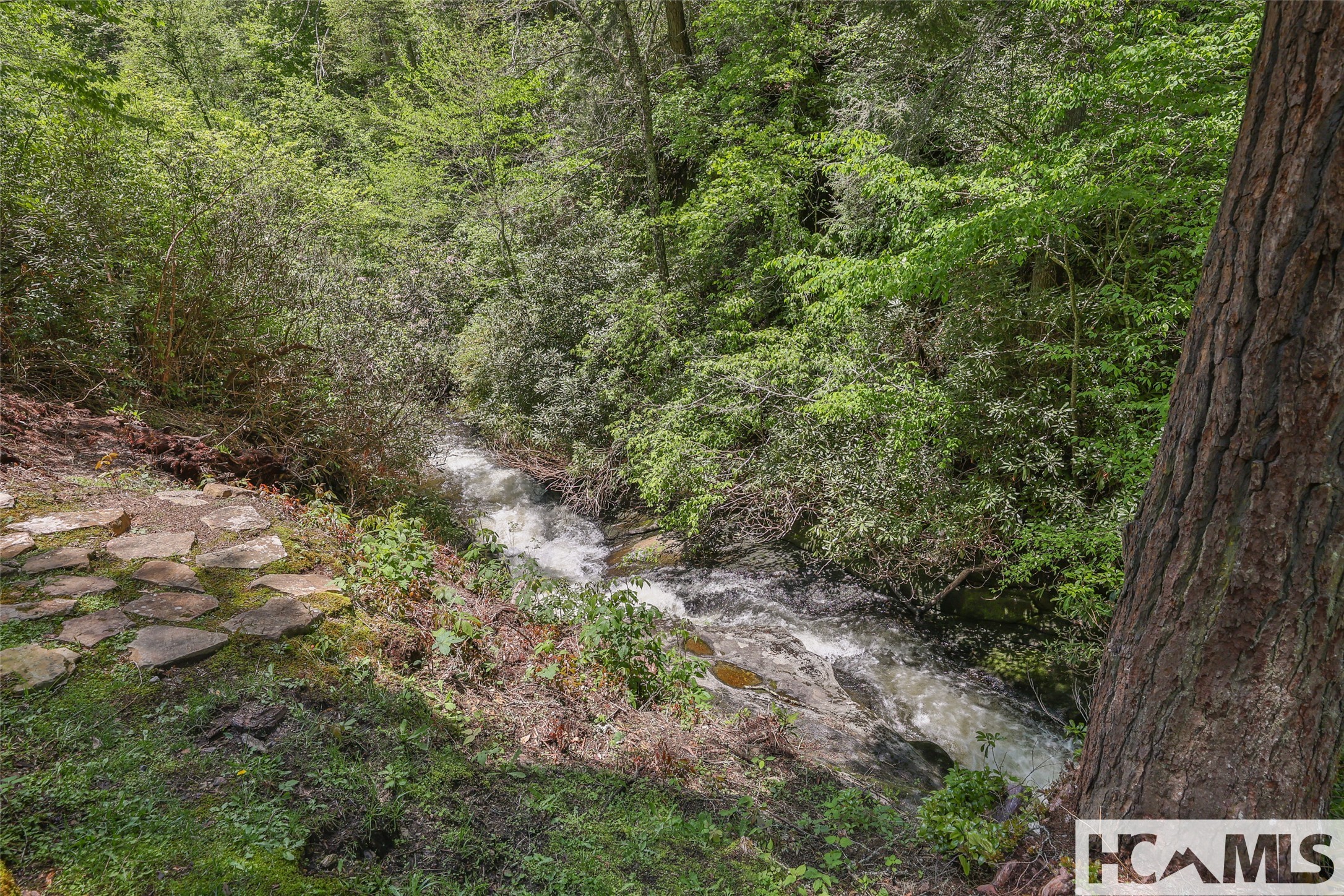 131 Big Creek Lane