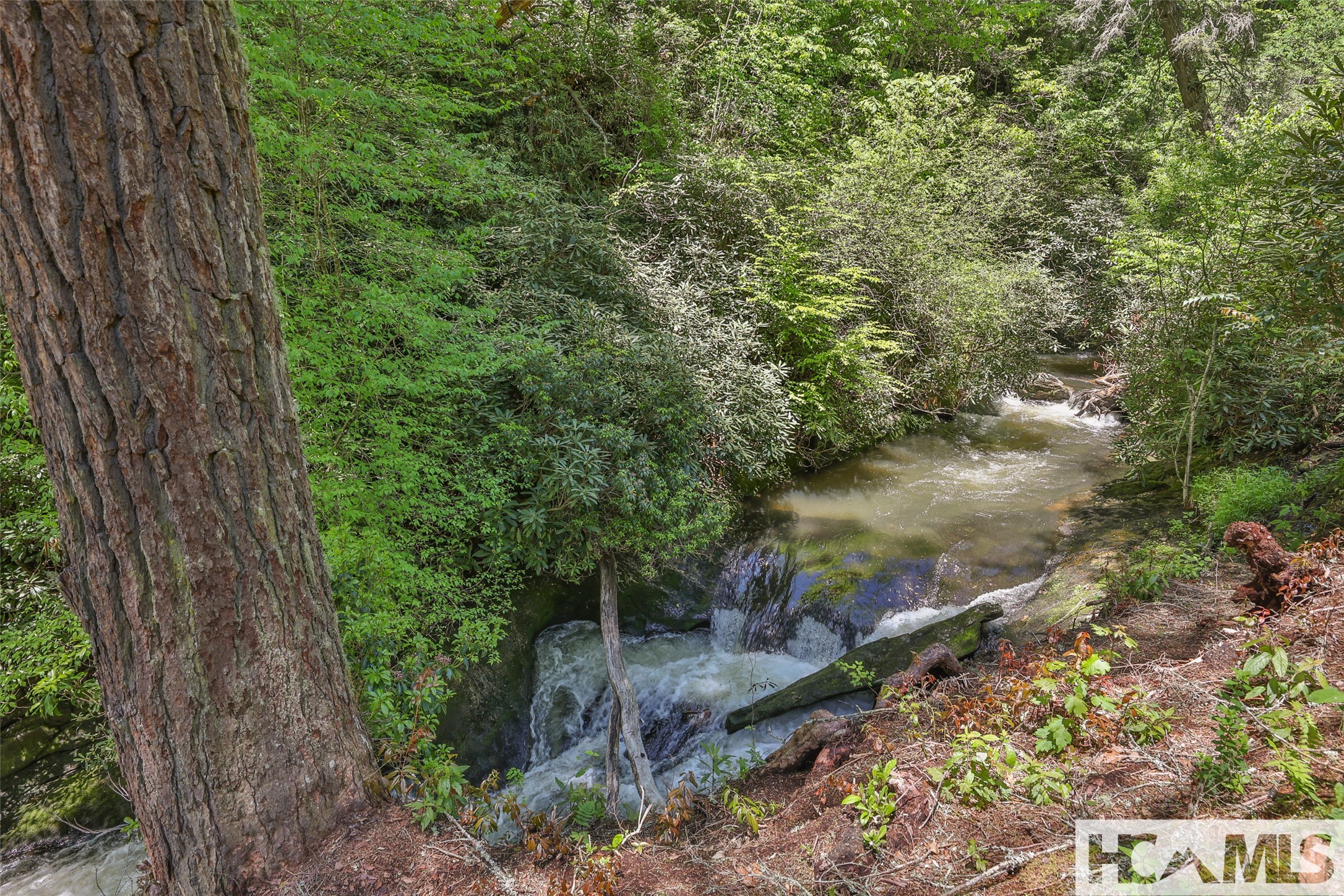 131 Big Creek Lane