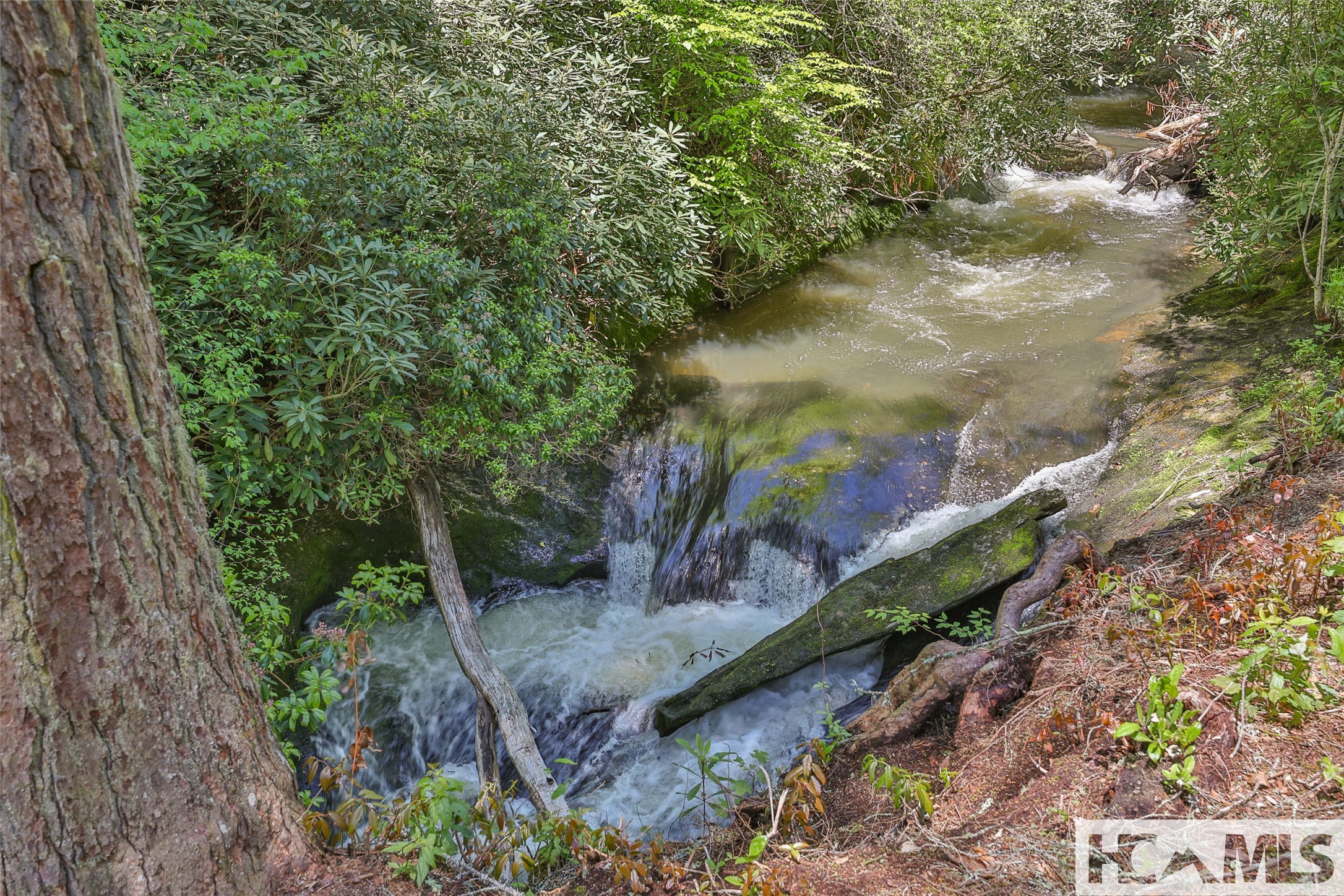 131 Big Creek Lane