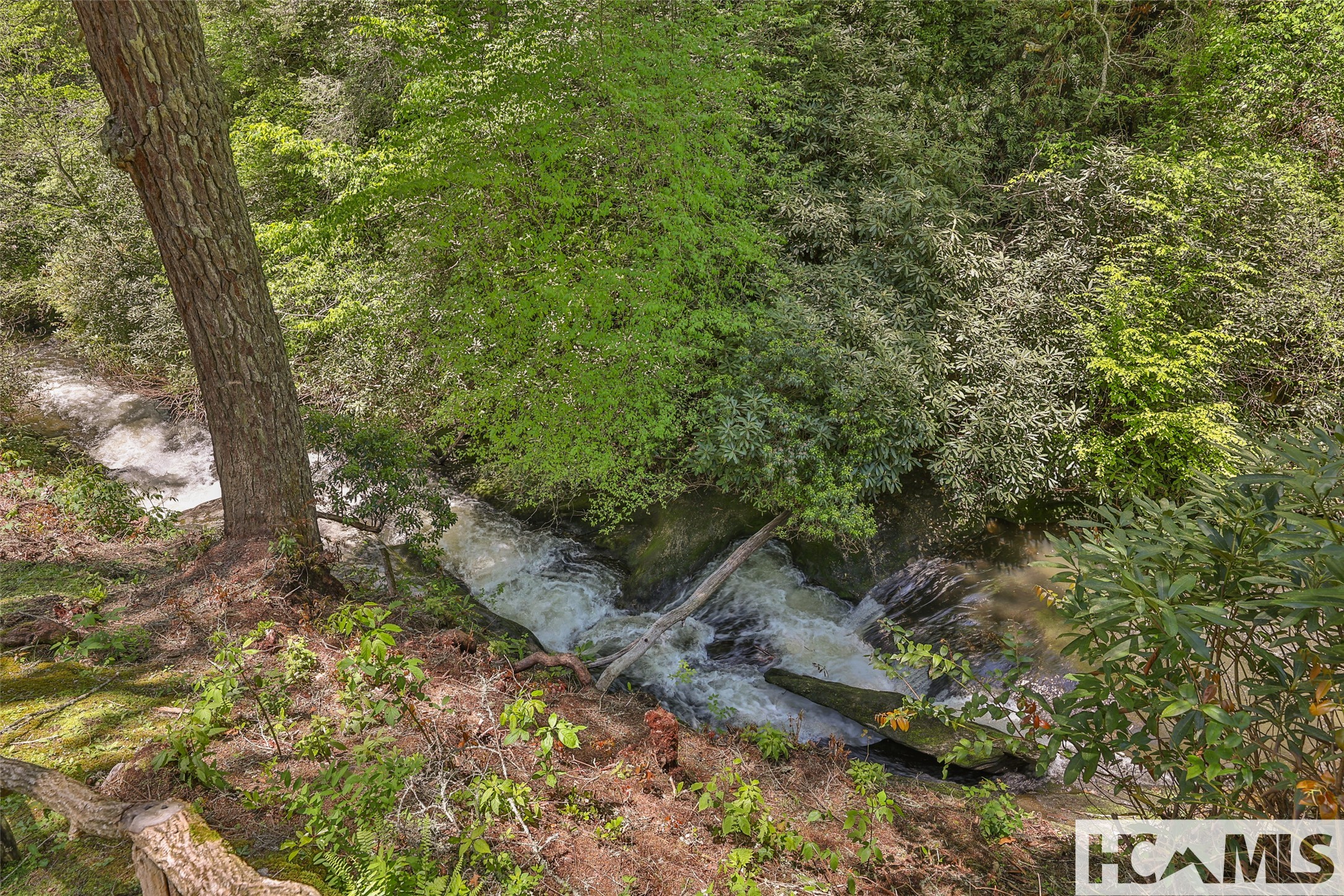 131 Big Creek Lane