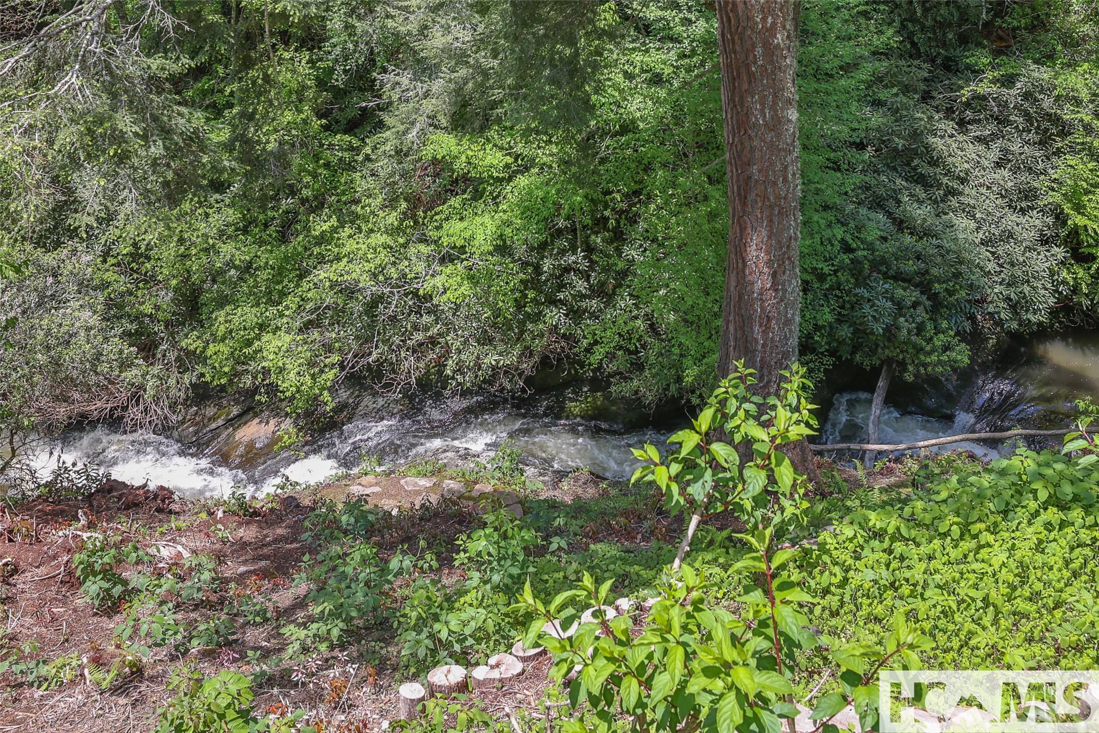 131 Big Creek Lane