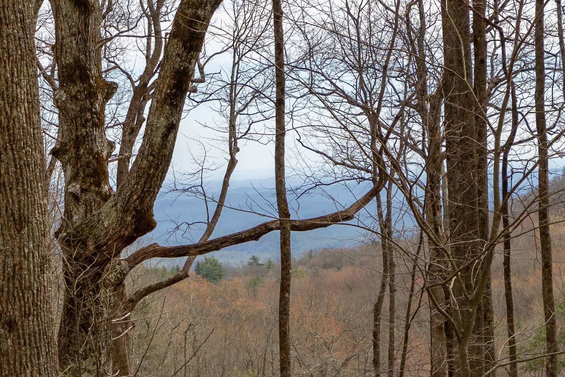 TBD Kettle Rock Road