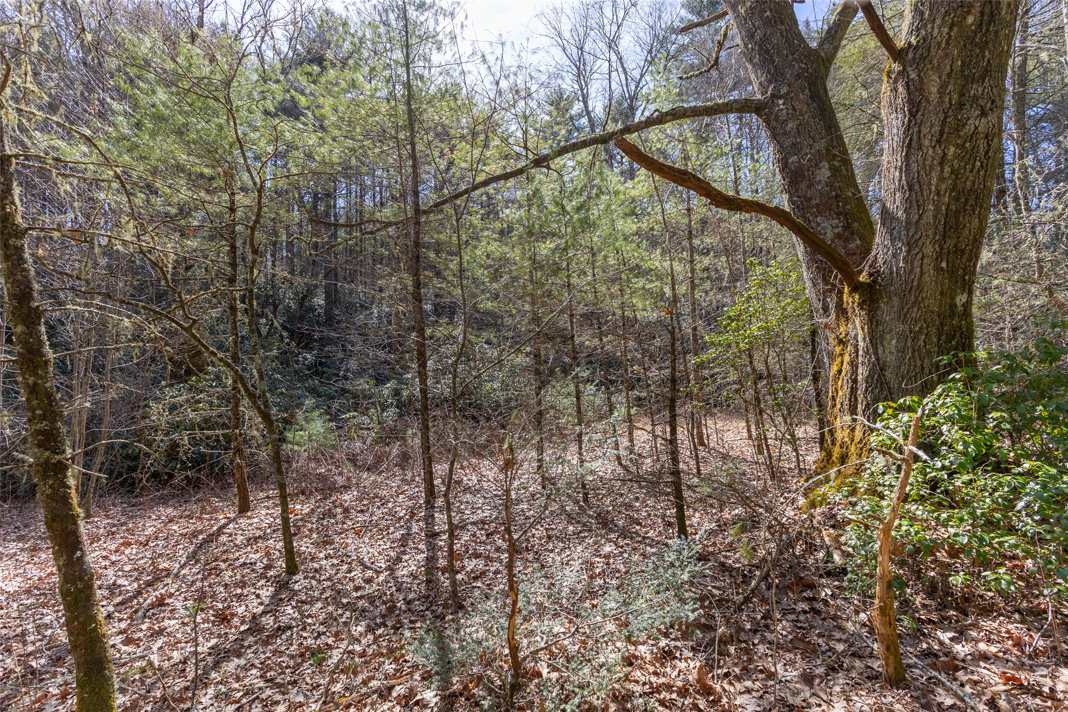 TBD Flat Mountain Road