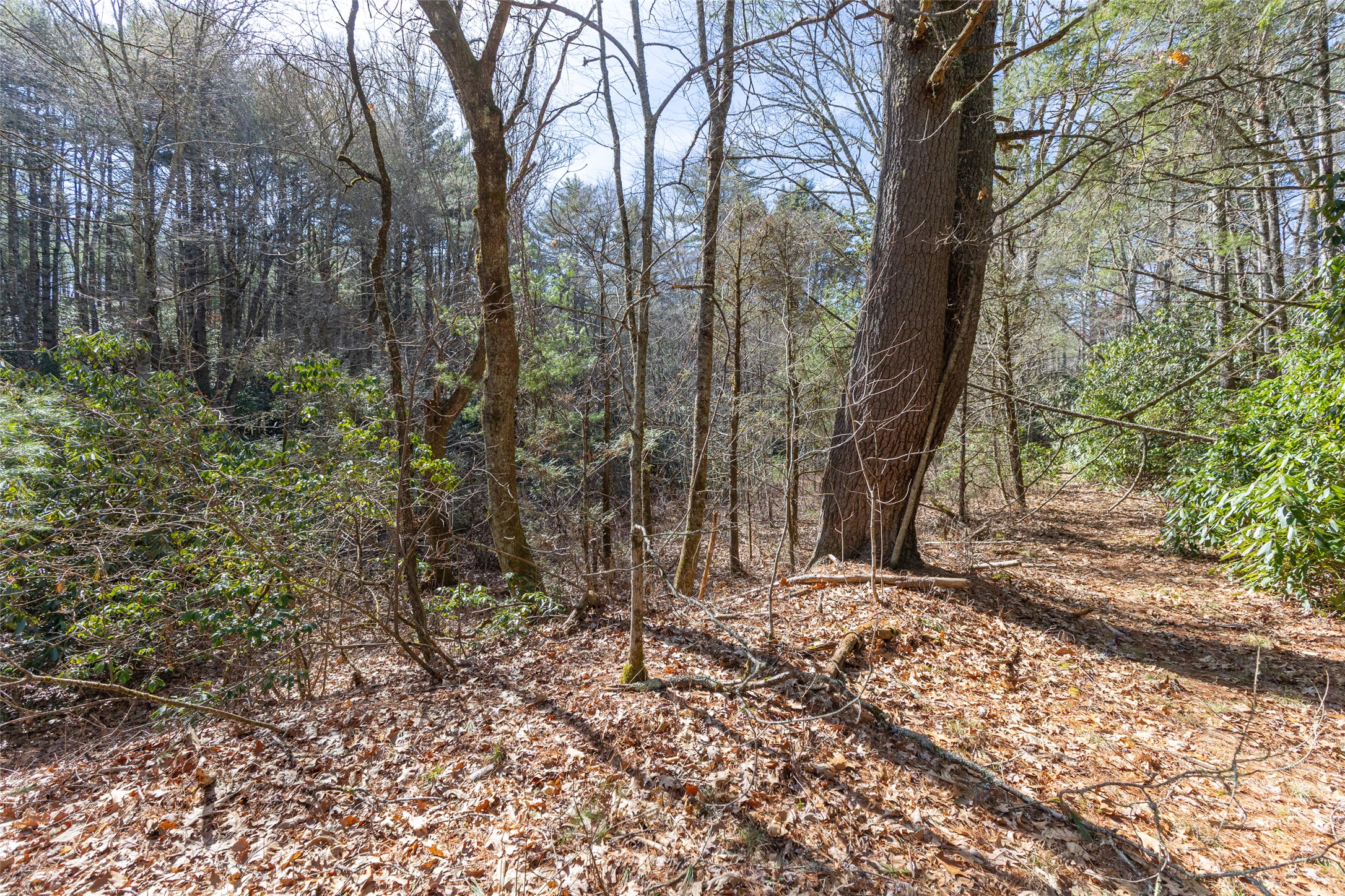 TBD Flat Mountain Road