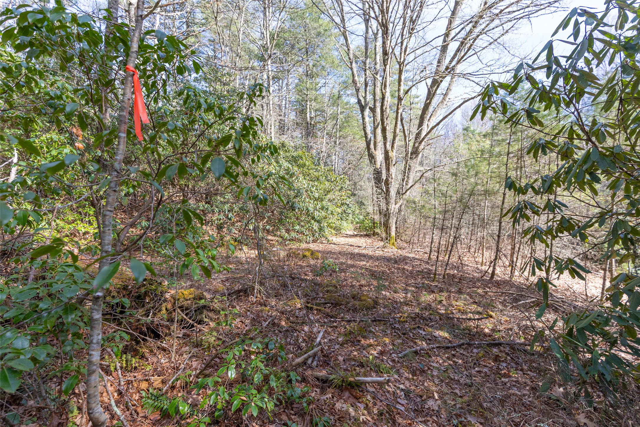 TBD Flat Mountain Road