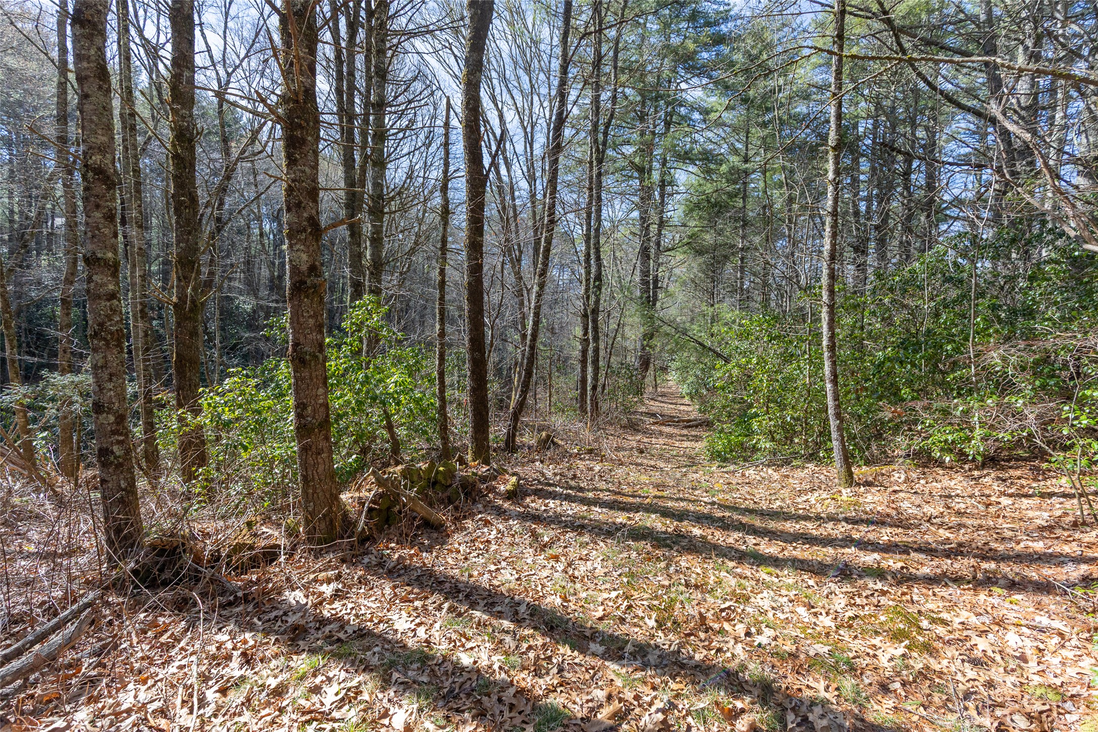 TBD Flat Mountain Road