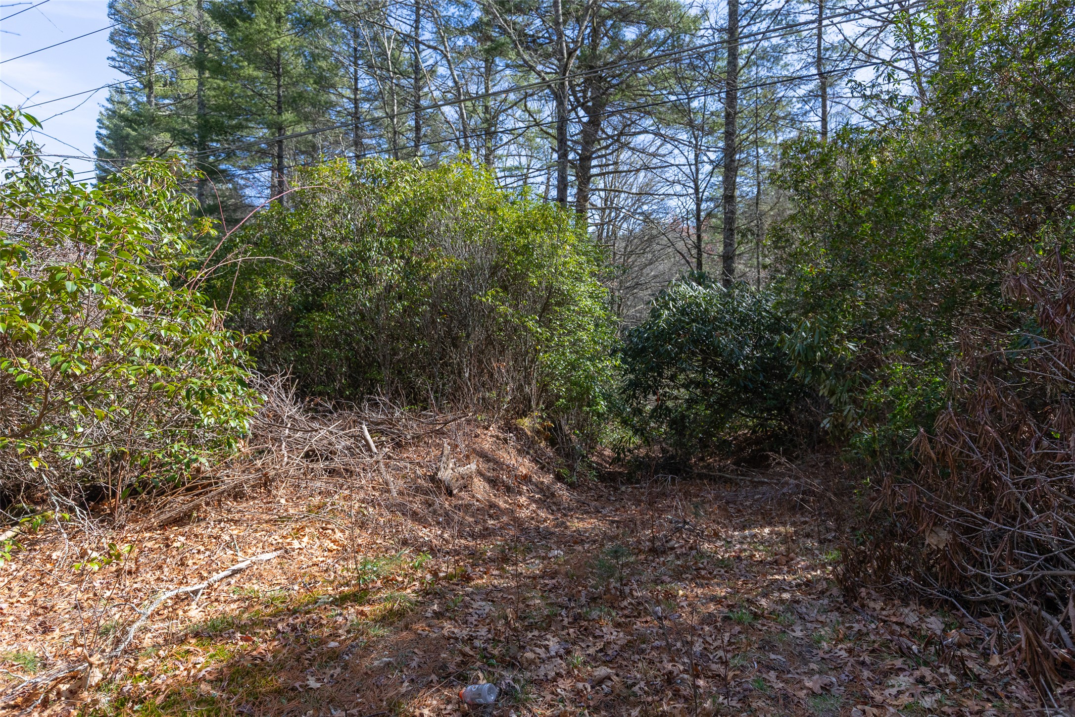 TBD Flat Mountain Road