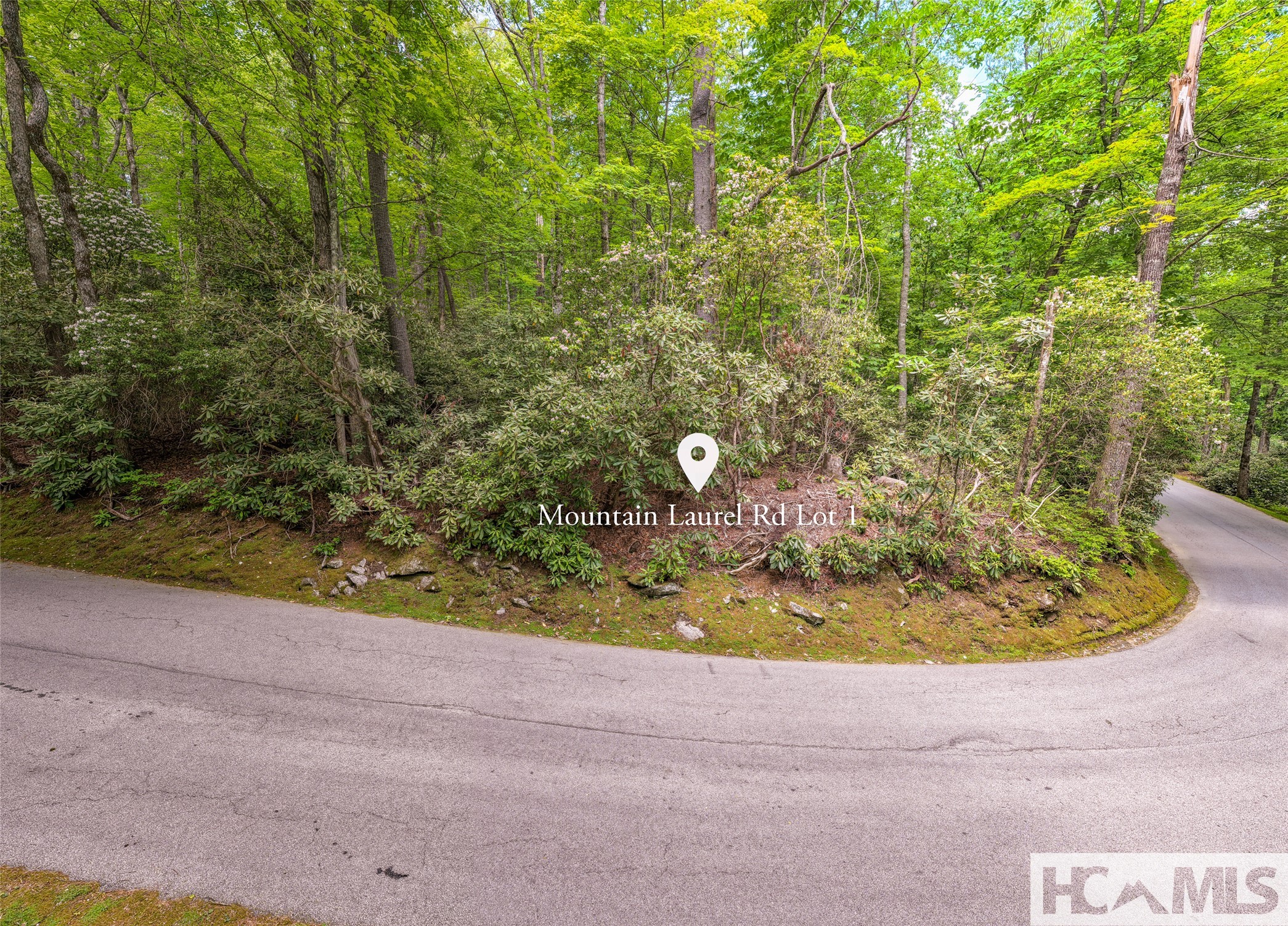 Lot 1 Mountain Laurel Drive