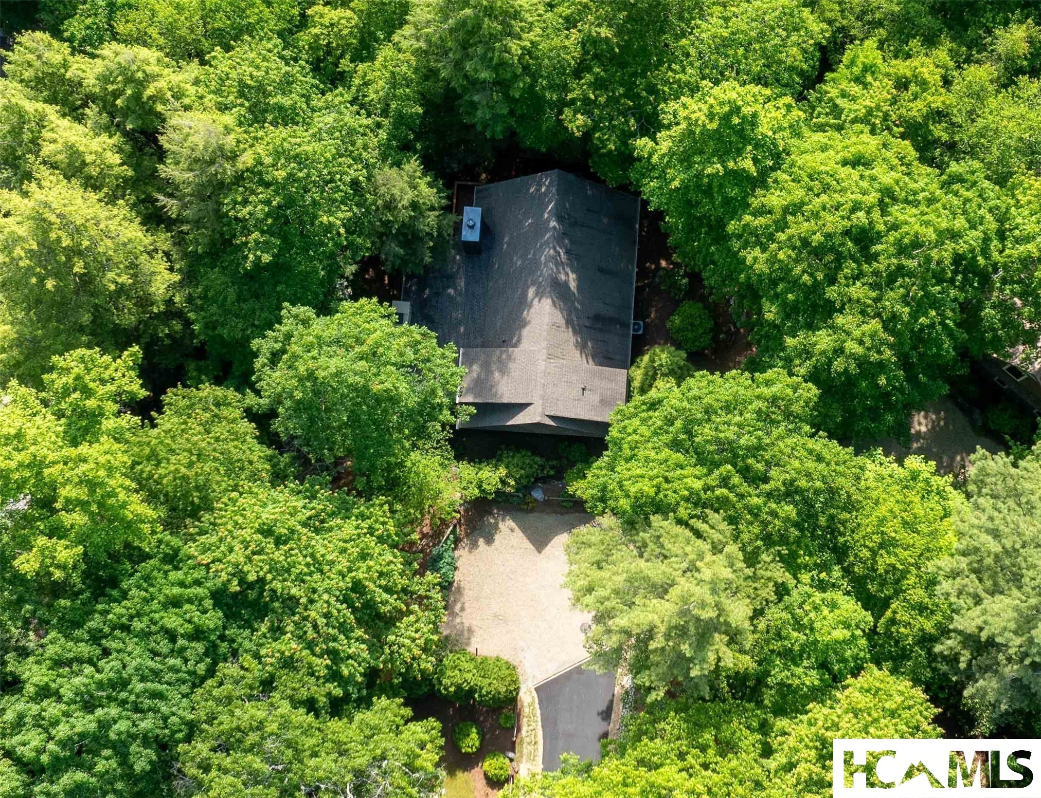 34 Forest Way