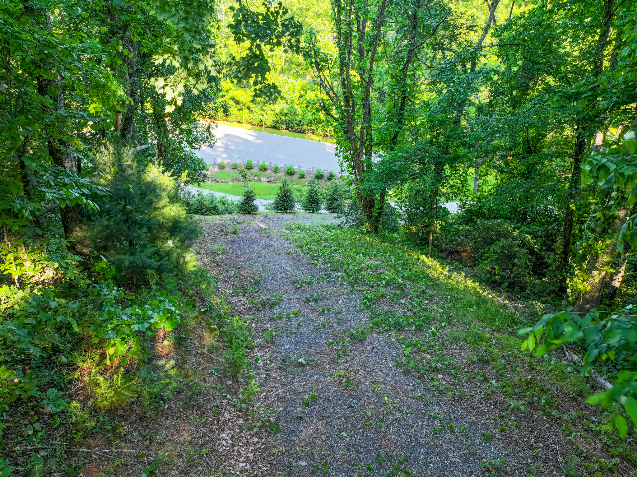 4017 Canada Road