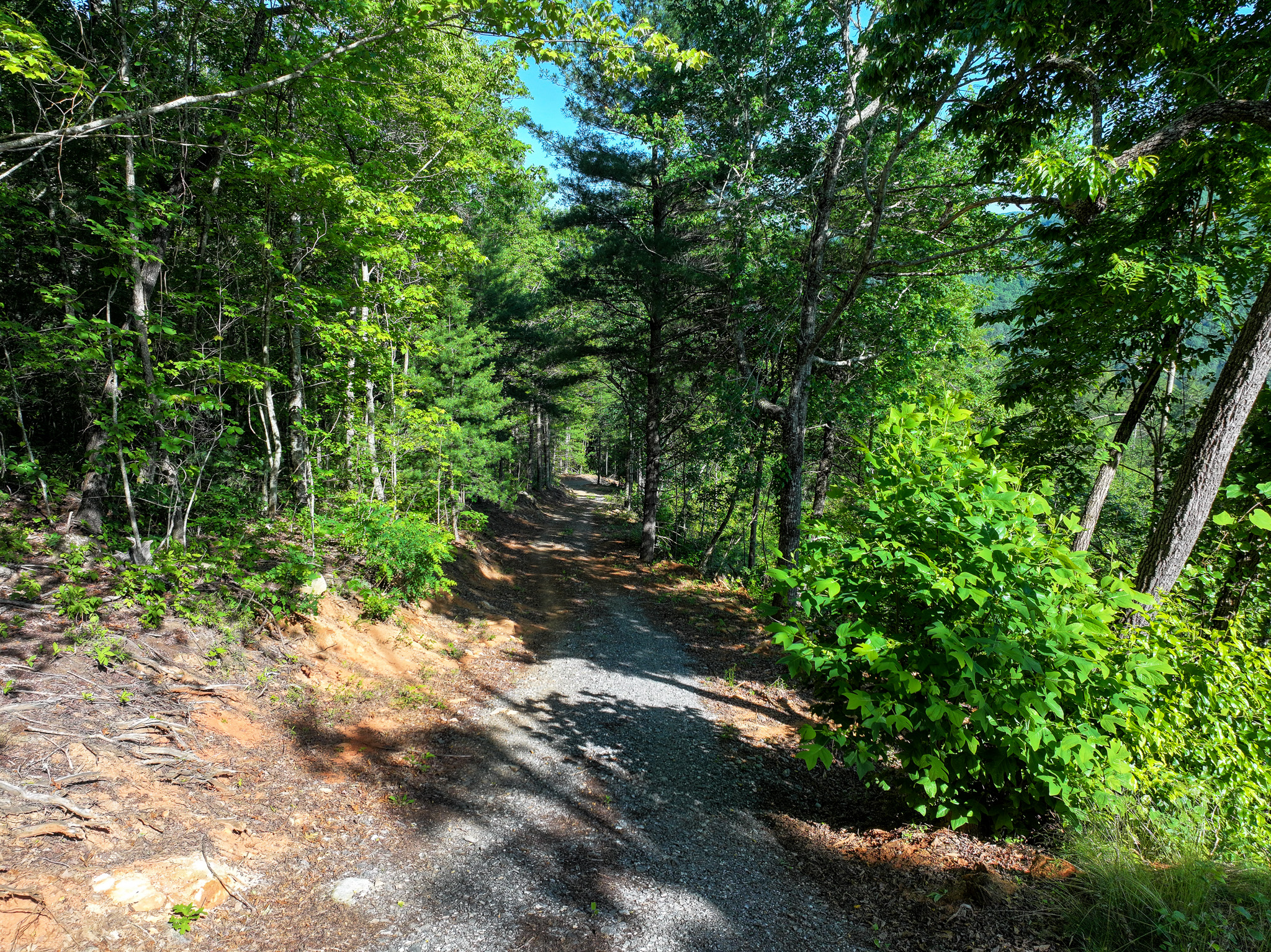 4017 Canada Road