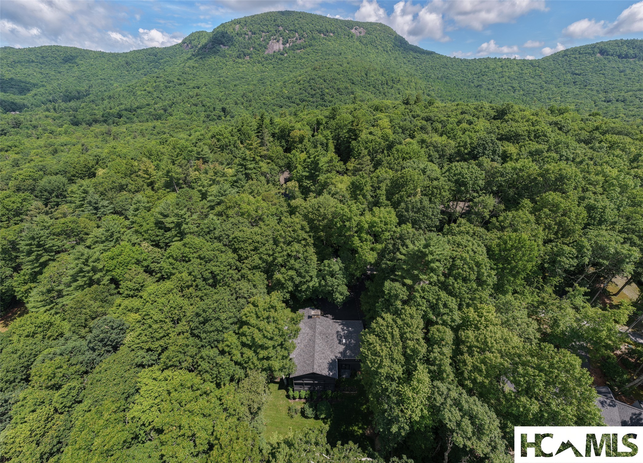 177 Forest Trail Trail