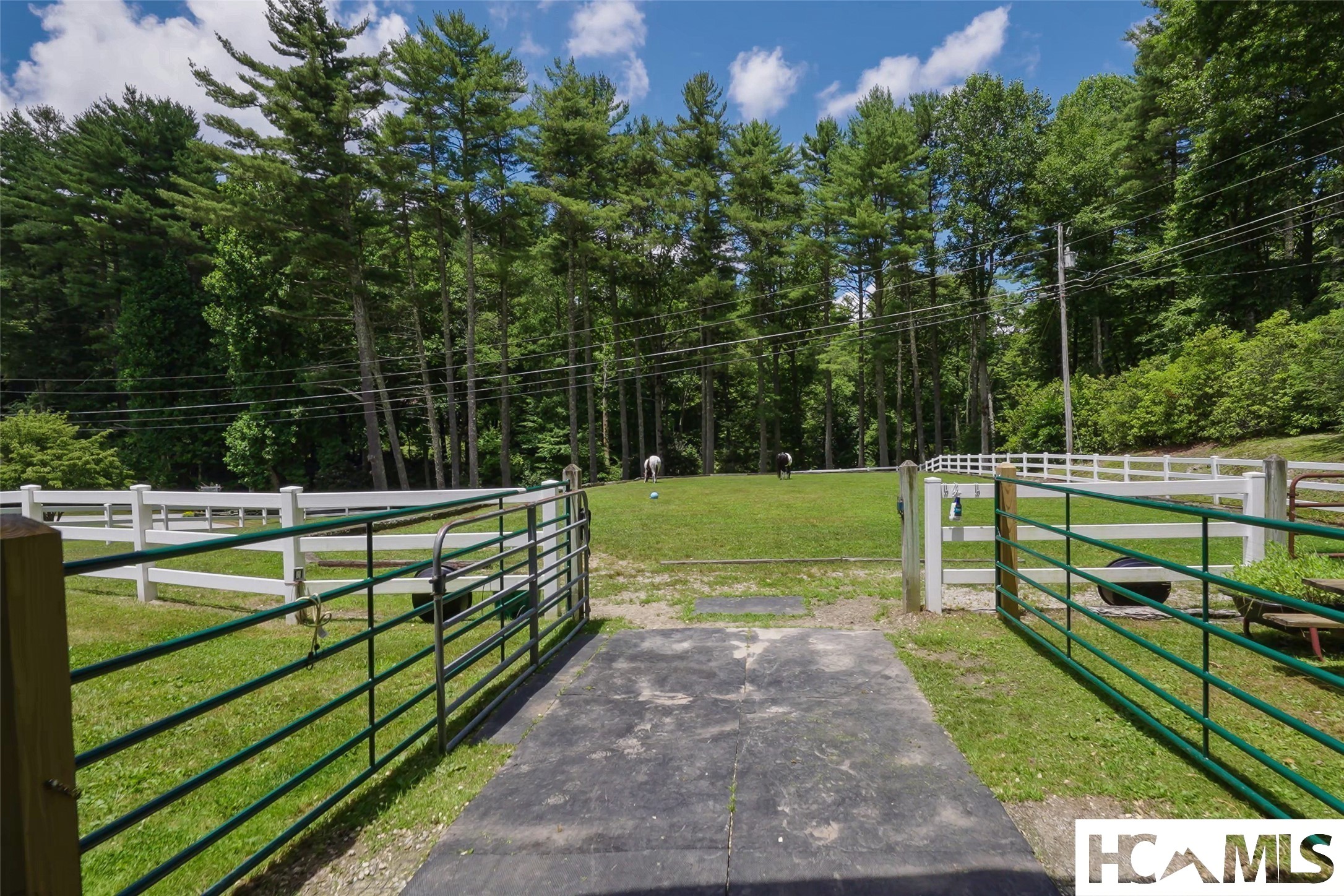 177 Forest Trail Trail