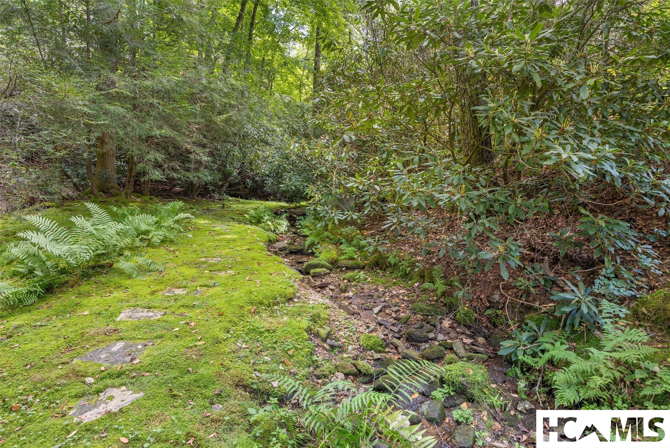 1094 Moorewood Road