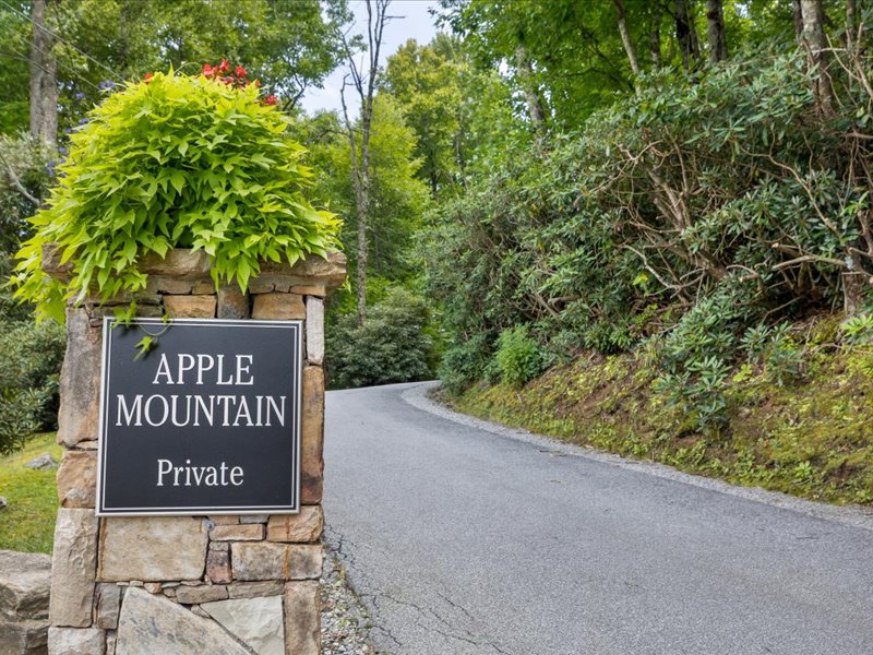 115 Apple Mountain Lane