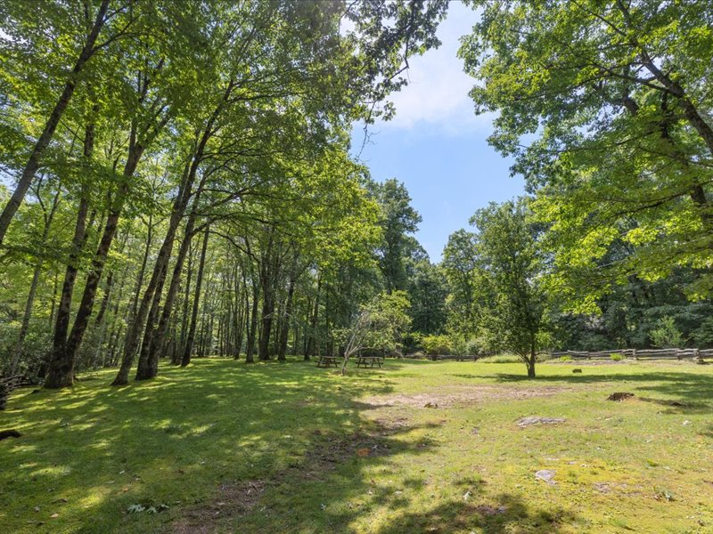 115 Apple Mountain Lane