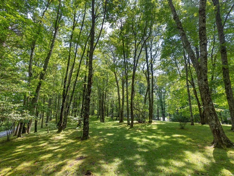 115 Apple Mountain Lane