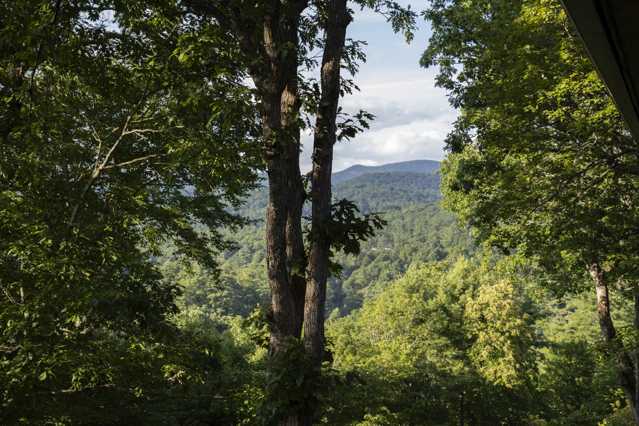 1503 Highlands Mountain Club 1503