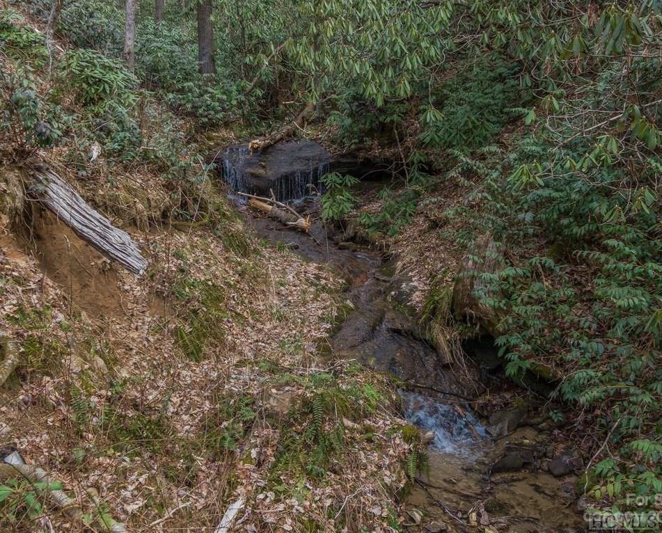 3709 Whiteside Cove Road