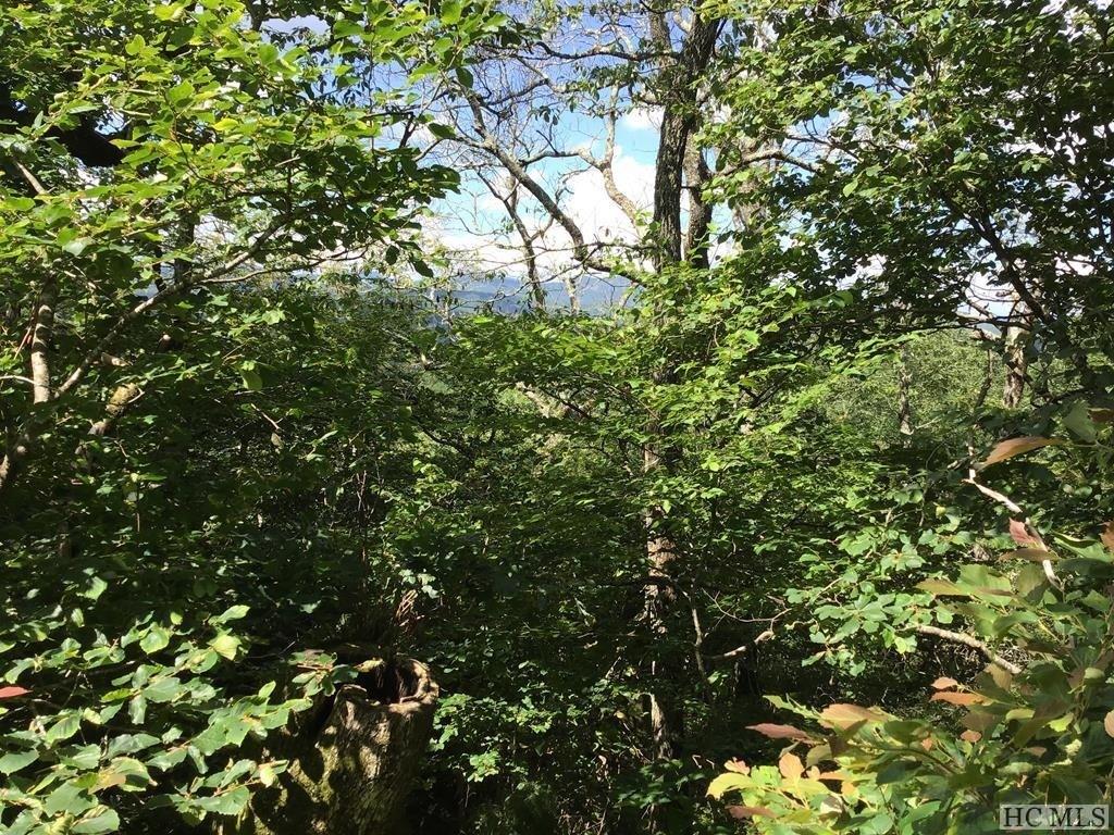 TBD Upper Brushy Face Road