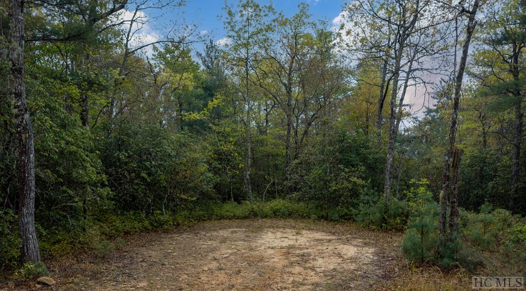 TBD Flat Creek Drive