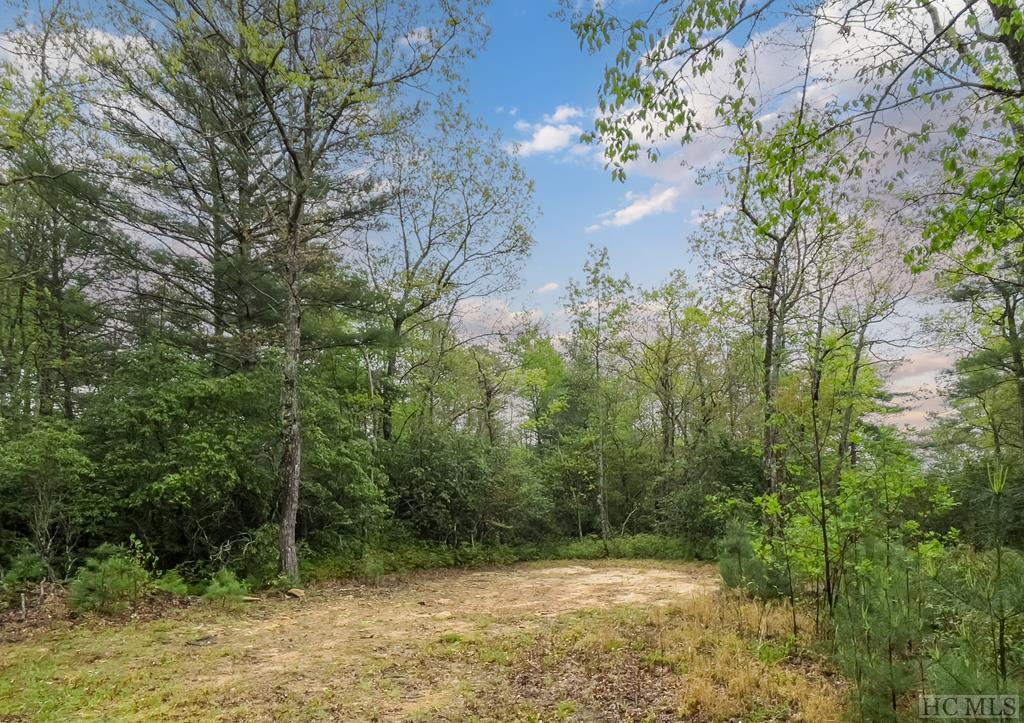 TBD Flat Creek Drive