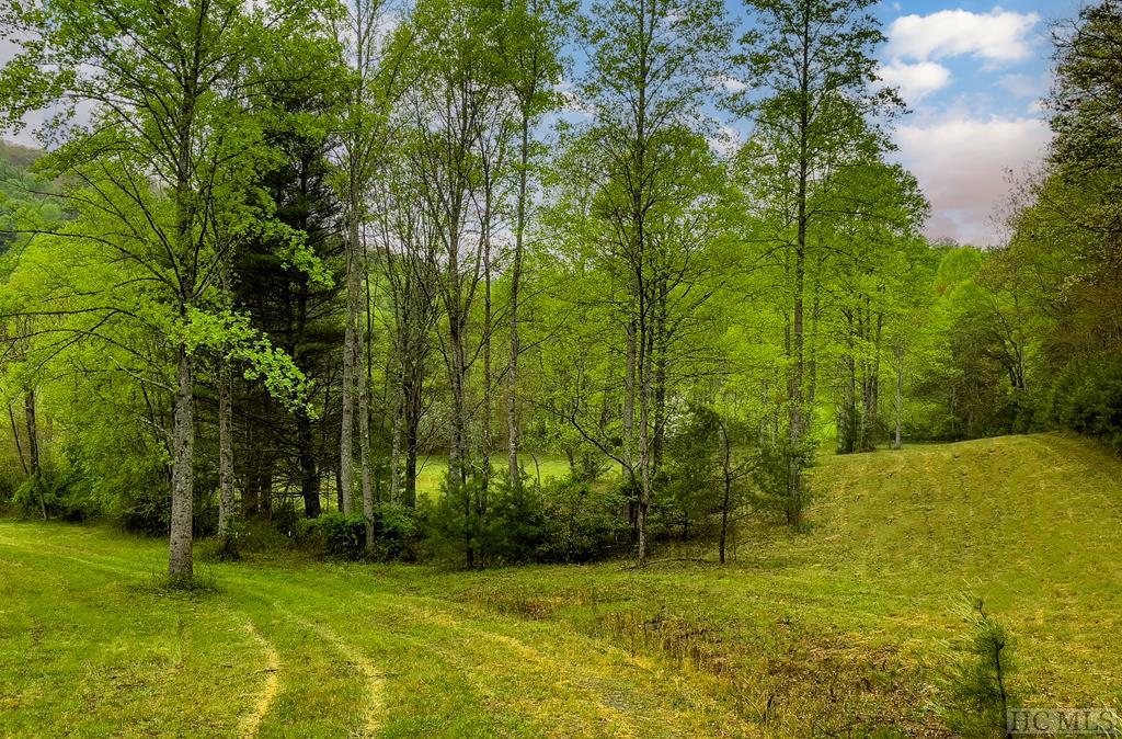 TBD Flat Creek Drive