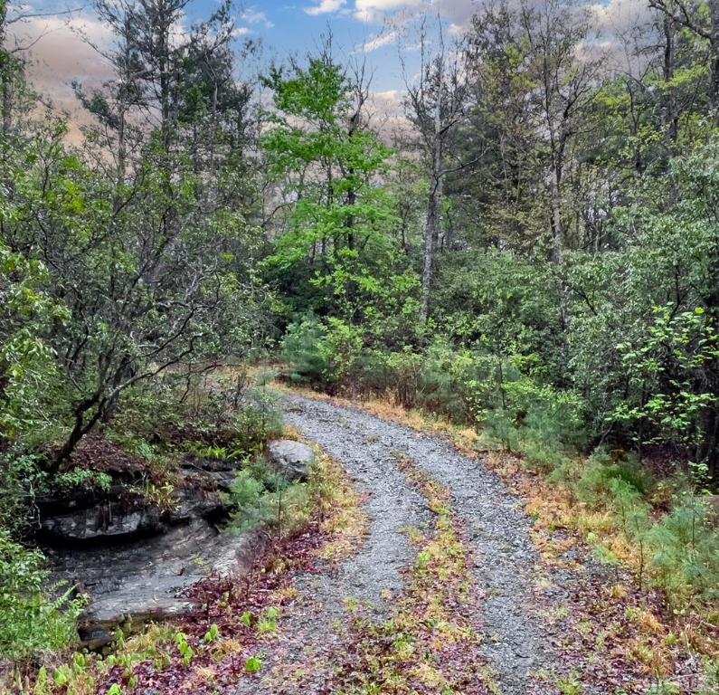 TBD Flat Creek Drive
