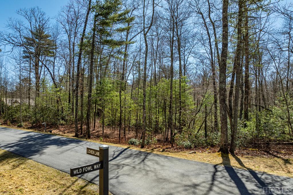 Lot 15 Lichen Lane