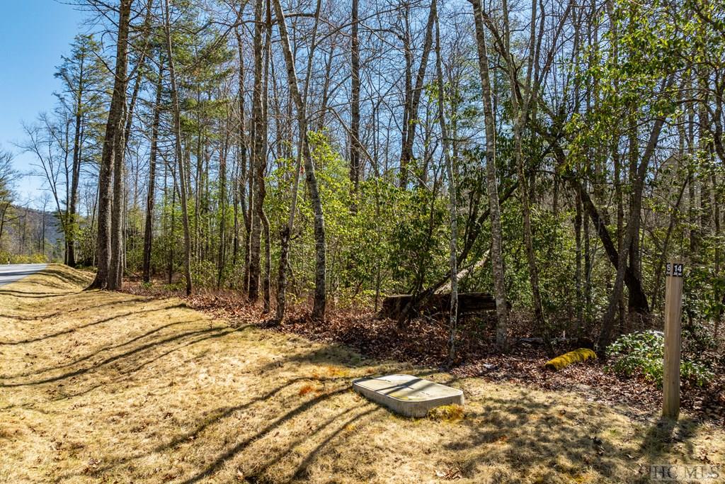 Lot 15 Lichen Lane