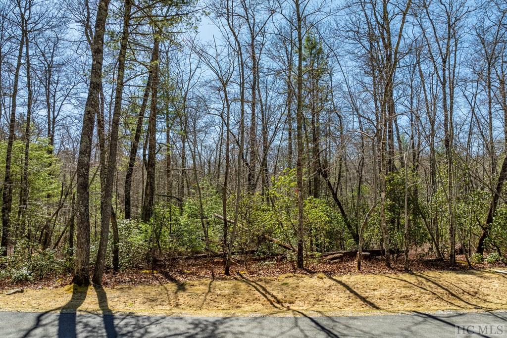 Lot 15 Lichen Lane
